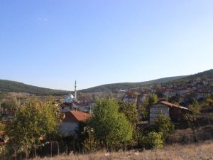 Yaşlılardan Başka Kimse Kalmadı