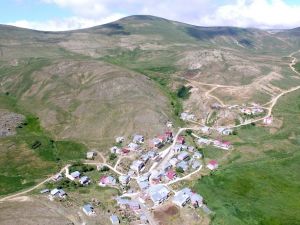 Ağaçsız Köyün Ağaç Sevdası
