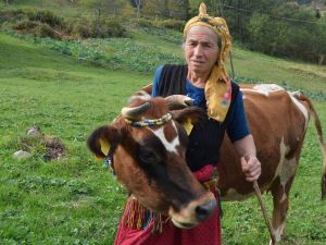 İnekleri Onun Herşeyi