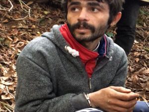 O Hain Bülbül Gibi Öttü