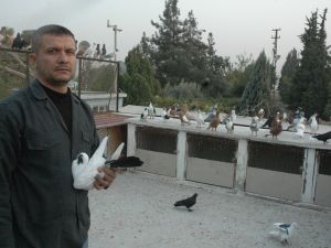 "Kuş Pazara, Ben Mezara”
