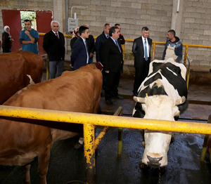 Vali Bektaş Süt Çiftliğinde: “Organik Hayvancılığı Destekliyoruz”