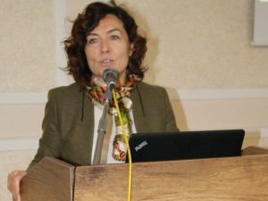 Mevsim Geçişlerinde Bipolar Bozukluğa Dikkat