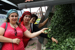 Çayın Memleketi Rize Ama Tanıtımı Trabzon Yapıyor
