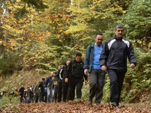 Örümcek Ormanları Nefes Kesiyor