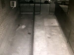 Çocuk Tacizcisinin Feci Sonu