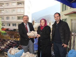 Akak’ın İlk İstiridye Mantarları Pazardaki Yerin Aldı
