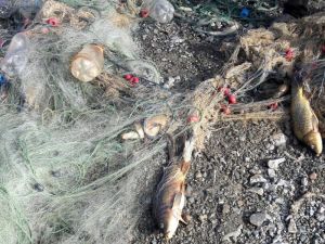 Gümüşhane’de Kaçak Balıkçılara Darbe