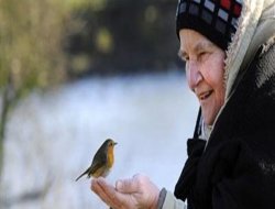En mutlu olunan yaşlar 23 ve 69