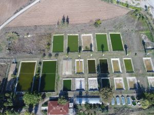 Karidese Yatıran Kazanıyor