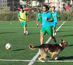 Pazarspor'da Futbolcuların Arasına Köpek Girdi ! -VİDEO İZLE