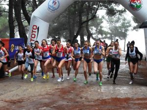 61. Balkan Kros Şampiyonası Çanakkale’de
