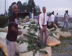 Çay Yüklü Kamyon Kaza Yaptı