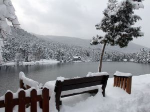 Gölcük Tabiat Parkı’nda Kar Güzelliği