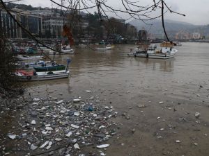 Zonguldak Limanı Sarıya Boyandı