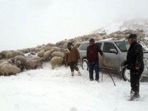 Yaylada Mahsur Kalan 7 Kişi Kurtarıldı