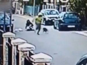 Kapkaççı Sokak Köpeğine Takıldı