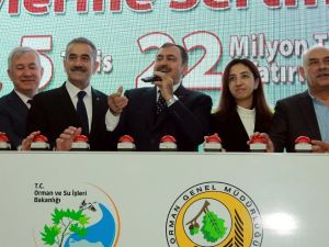 Yalova’ya 22 Milyon Tl’lik Yatırım