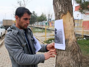 Kaybettiği Sıpasını Arıyor: Her Yere Afiş Asıyor