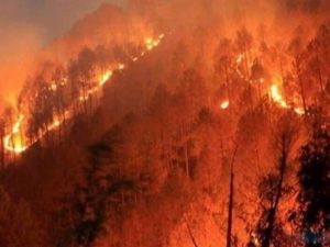 Kasım Ayında 52 Orman Yangını Çıktı