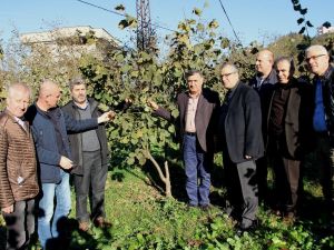 Fındık Üretimi İçin İşbirliği