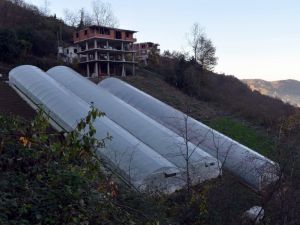 Bu Eğimli Arazide Seracılık Yapıyorlar