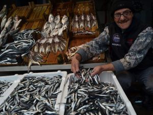 Hamsinin Fiyatı Fırladı