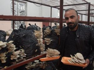 Hakkari’de İlk Kez Üretildi