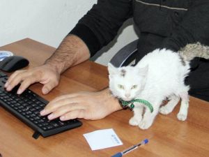 Yeni Mesai Arkadaşları ’Cücü’