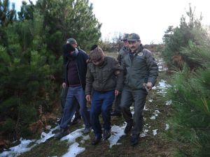 Uludağ’da Yılbaşı Öncesi Fidan Nöbeti