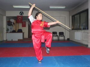 Dövüş Sporlarında Yeni Akımın Adı: Wushu Taolu