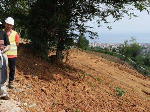 Unutulmaya Yüz Tutmuş Meyve Çeşitleri Trabzon Botanik’te Yeşerecek