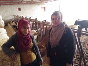 Eltiler Hayvan Çiftliği Kurdu, Kadınlara Örnek Oldu
