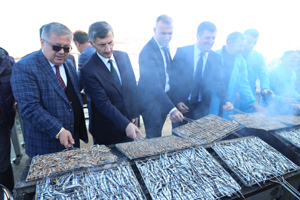 Hamsi Şöleninde İki Ton Hamsi Bir Saatte Tükendi