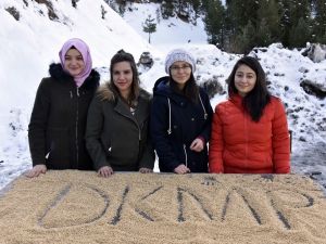 Gümüşhane’de Yoğun Kış Şartlarında Yaban Hayatı Unutulmuyor