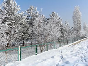 Ağrı’dan Hayran Bırakan Kırağı Manzaraları