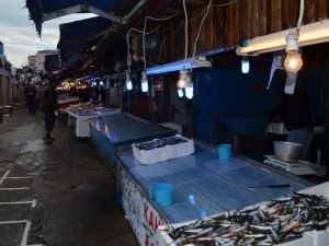Hamsi’nin Ateşi Düşmüyor