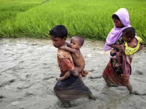 ”Arakan Krizinden Myanmar Ordusu Sorumlu”