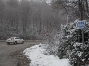 Bolu Dağı’nda Ulaşıma Sis Engeli