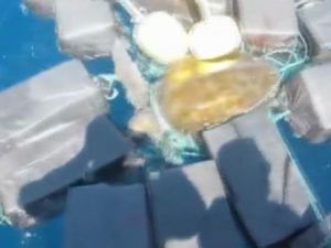 Okyanusta Deniz Kaplumbağasıyla Kokain Ticareti