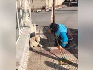 Sokak Köpeğine Serenat