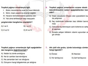 Örnek Sorular Açıklandı