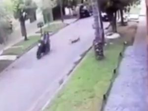 Soyguncu Motosikletiyle Küçük Çocuğa Çarptı