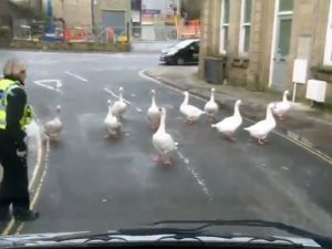Polis Otosunun Önünü Kestiler