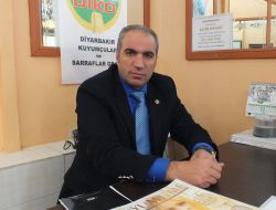Altındaki Tehlikeli Sinyal