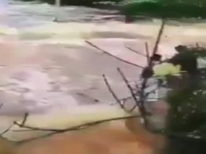 Tsunami Kıyı Şeridini Böyle Yuttu
