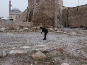 Her Şey Kuşlar İçin