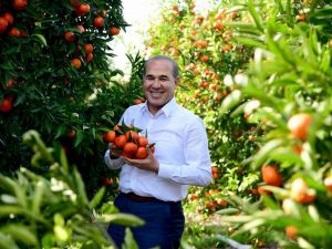 Başkan Sözlü, Mandalina İçin Kameralar Karşısına Geçti