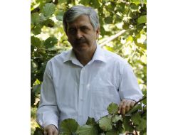 Karadeniz:"fındık Yok Olma Tehlikesi İle Karşı Karşıya"