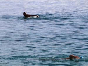 Antalya’da Deniz Keyfi Sürüyor